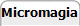 Biografia